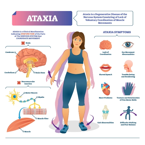 physical-therapy-clinic-ataxia-clearcut-ortho-fort-worth-tx
